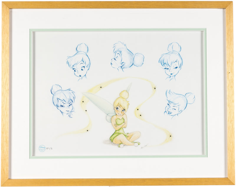 The Many Expressions of Tink (Framed)