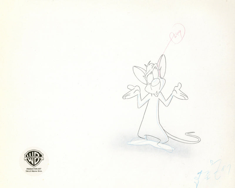 Pinky And The Brain Original Production Cel with Matching Drawing Signed by Tom Ruegger: Pinky, Brain