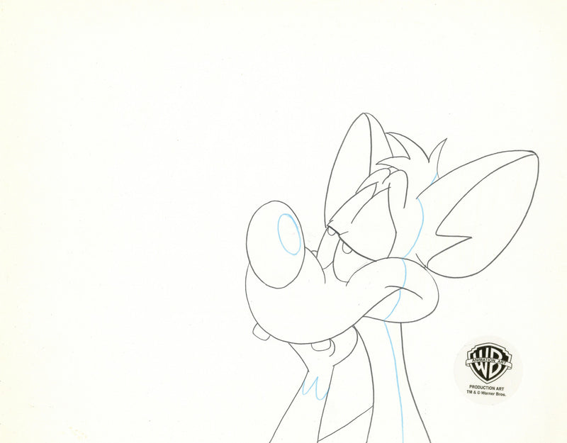 Pinky And The Brain Original Production Cel with Matching Drawing Signed by Tom Ruegger: Pinky, Brain