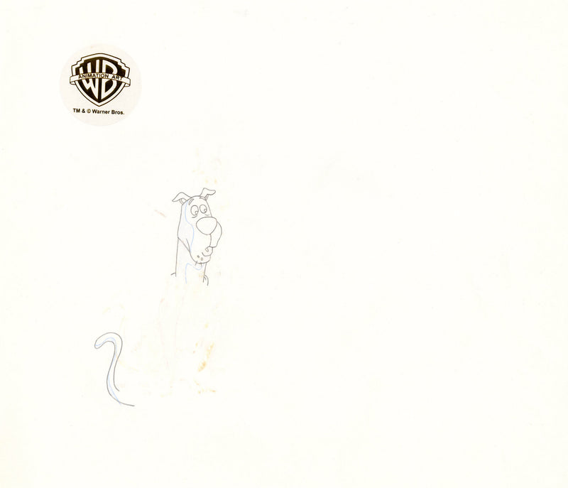 Scooby-Doo on Zombie Island Original Production Cel with Matching Drawing Signed by Bob Singer: Scooby-Doo, Shaggy