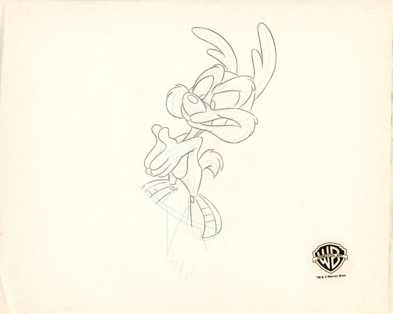 Tiny Toons Original Production Cel with Matching Drawing Signed by Tom Ruegger: Calamity Coyote