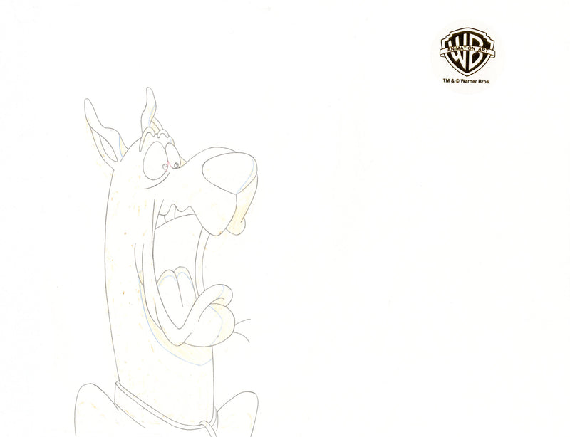 Scooby-Doo and the Witch's Ghost Original Production Cel and Matching Drawing Signed by Bob Singer: Scooby-Doo, Luna