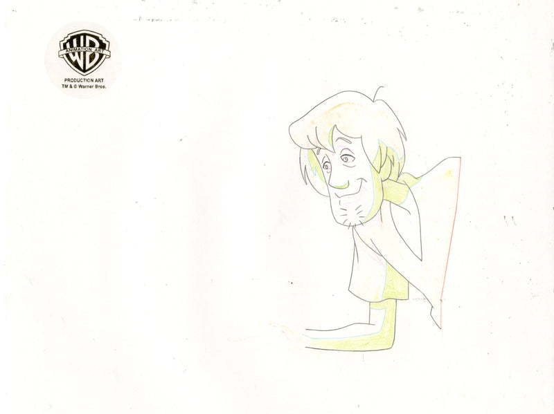 Scooby-Doo on Zombie Island Original Production Cel with Matching Drawing Signed by Bob Singer: Scooby-Doo, Shaggy
