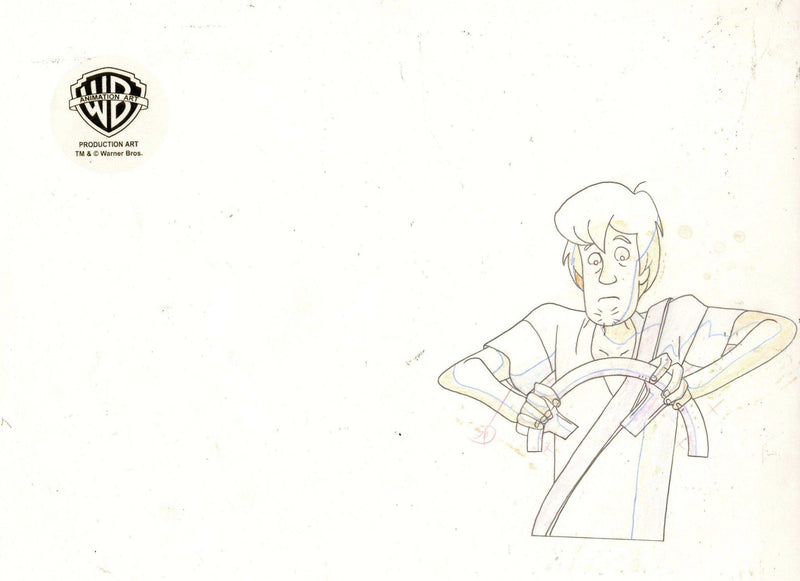 Scooby-Doo on Zombie Island Original Production Cel with Matching Drawing on Original Production Background: Scooby and Shaggy Original Production Cel with Matching Drawing Hanna Barbera Studio Art 